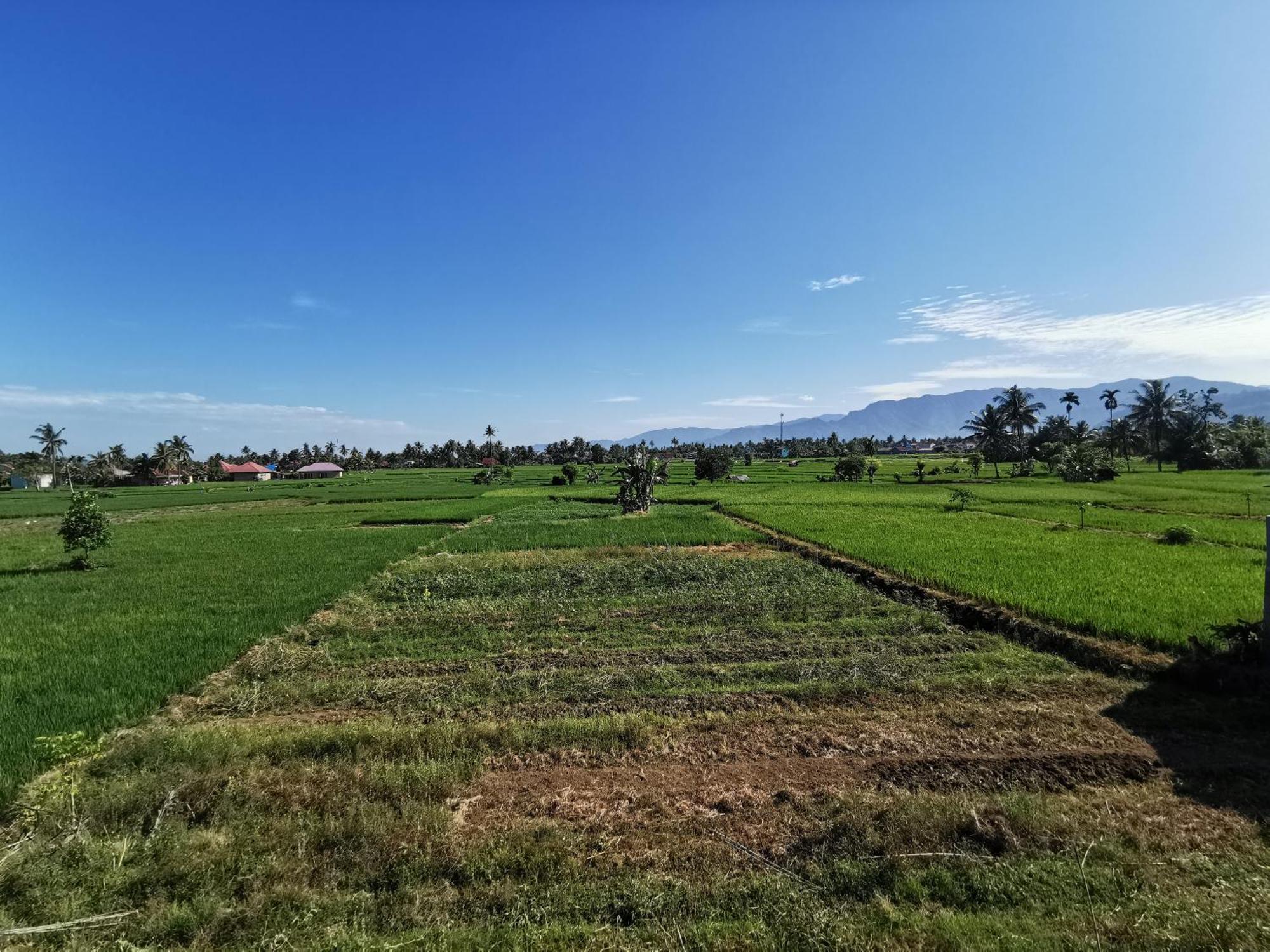 Mila Homestay Padang  Dış mekan fotoğraf